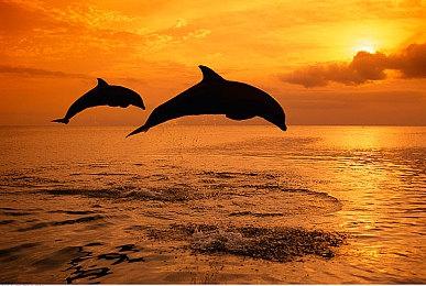 《师父》专注于打造单人体验 未来将有免费DLC